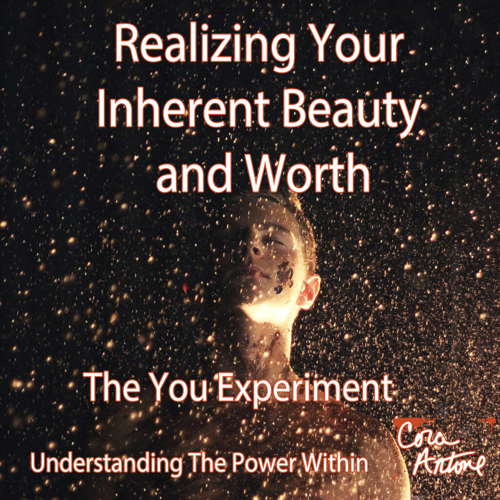 Realizing Your Inherent Beauty and Worth The You Experiment